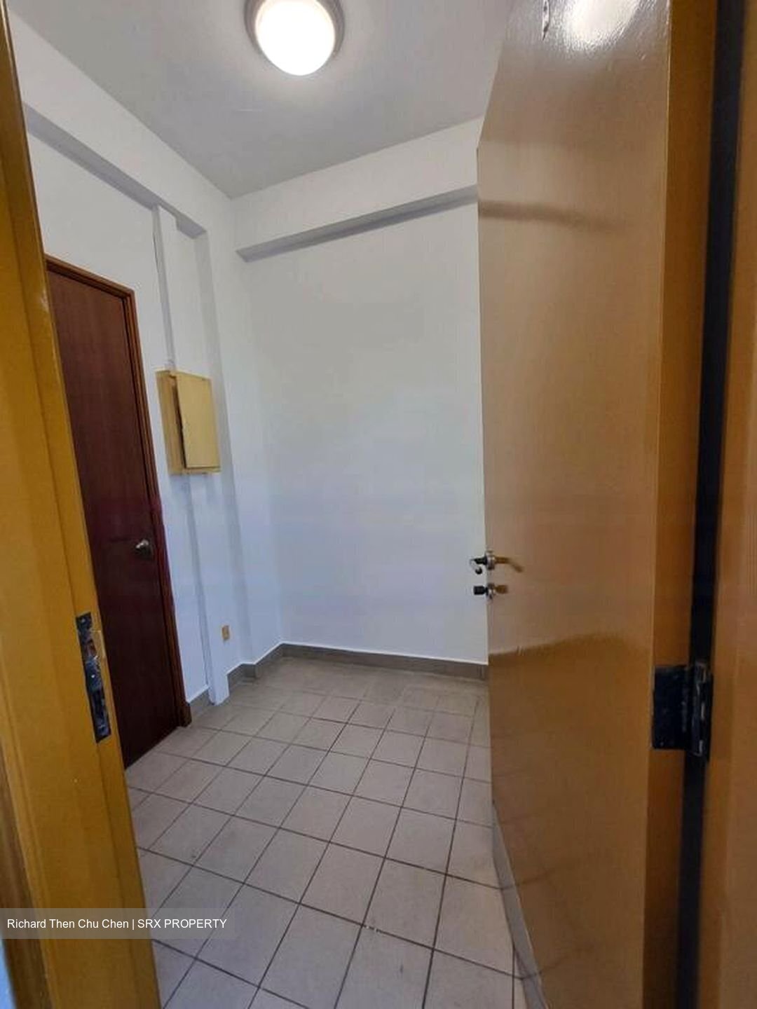 Cavenagh Lodge (D9), Apartment #456269921